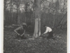 Two Mr Marshs Bark Flawing in Thornden Wood2 29th April 1941 001